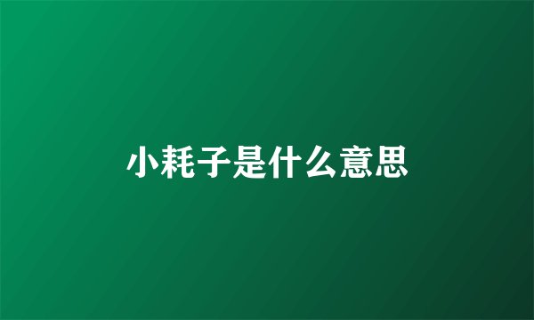 小耗子是什么意思