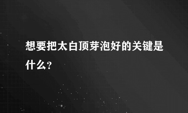 想要把太白顶芽泡好的关键是什么？
