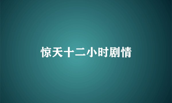 惊天十二小时剧情