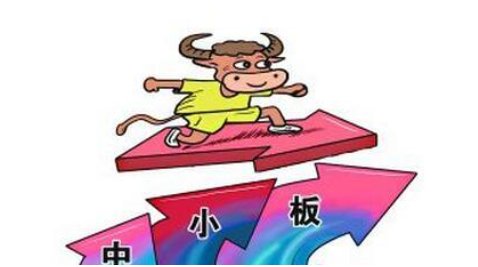 股票中的中小板指的是什么？