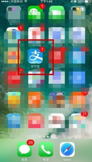 怎样查询基金持仓明细