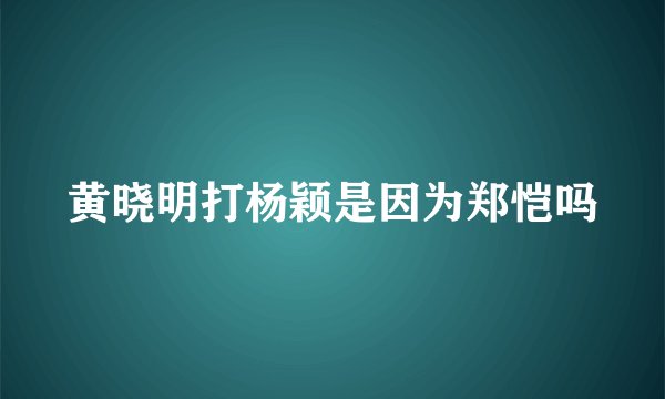 黄晓明打杨颖是因为郑恺吗