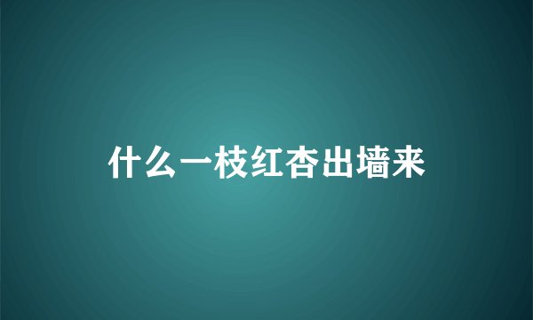 什么一枝红杏出墙来