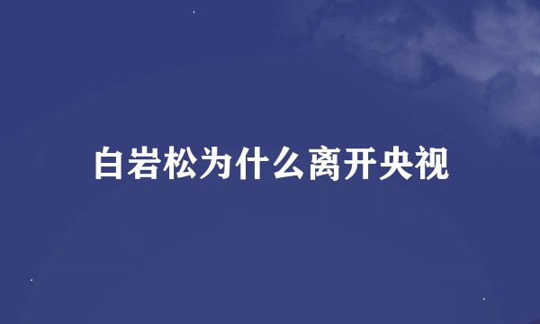 白岩松为什么离开央视
