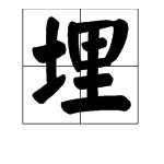 “埋”字多音字的拼音是什么？