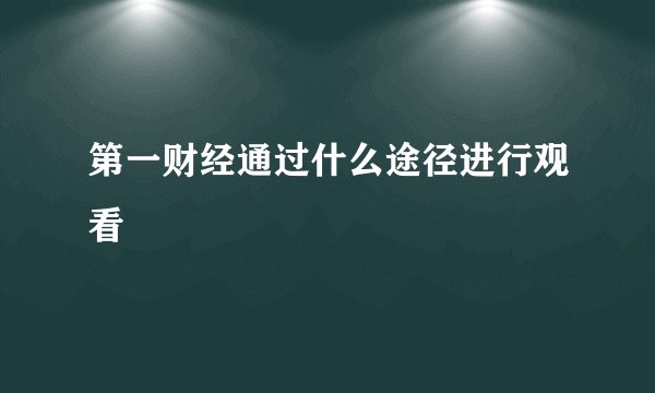 第一财经通过什么途径进行观看