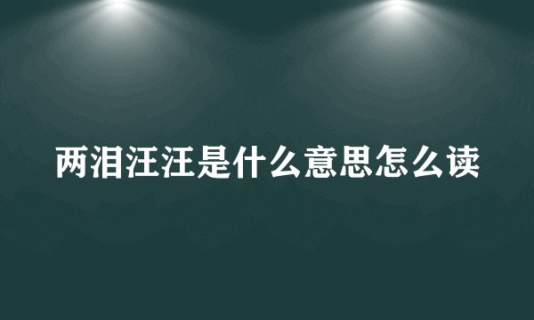 两泪汪汪是什么意思怎么读