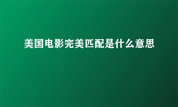 美国电影完美匹配是什么意思