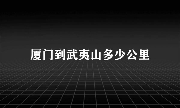 厦门到武夷山多少公里
