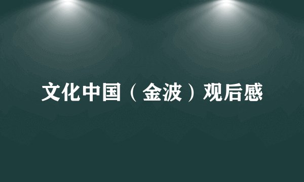 文化中国（金波）观后感