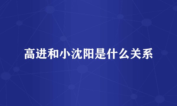 高进和小沈阳是什么关系