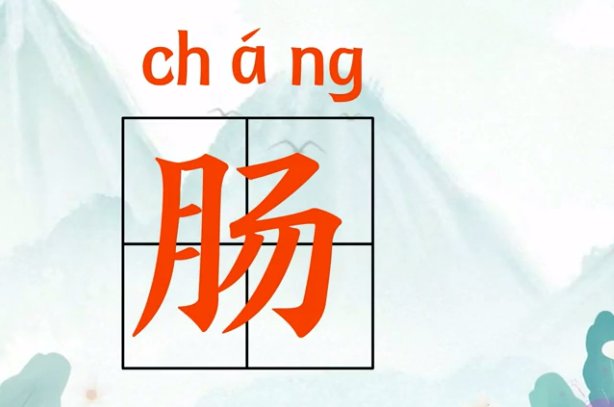 肠怎么读