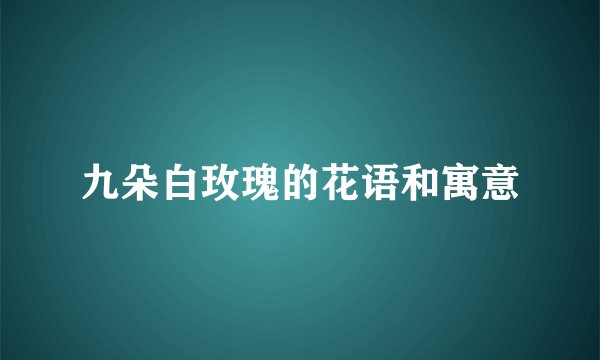 九朵白玫瑰的花语和寓意