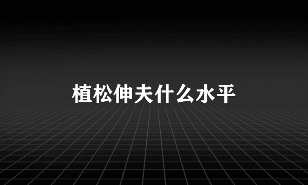 植松伸夫什么水平