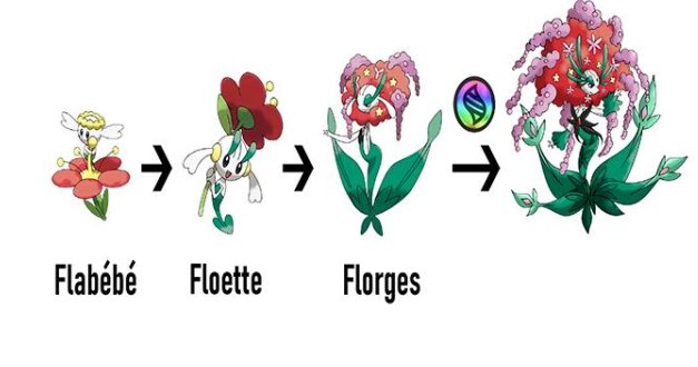 花洁夫人怎么进化