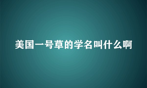 美国一号草的学名叫什么啊