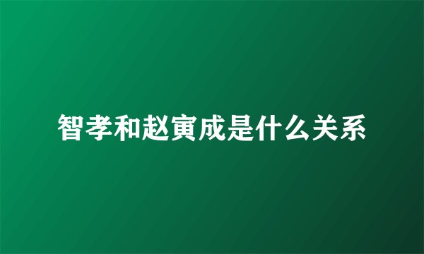 智孝和赵寅成是什么关系
