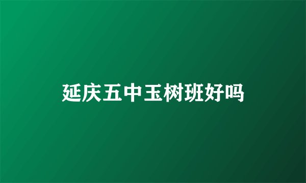 延庆五中玉树班好吗