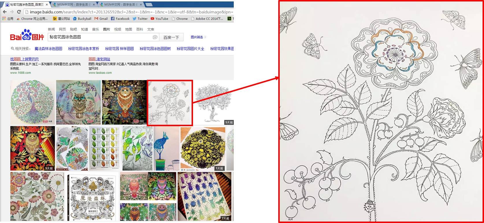 《秘密花园》怎样涂色才会显得高大上？