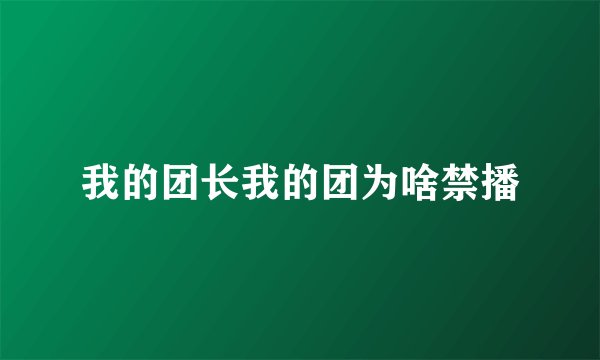 我的团长我的团为啥禁播