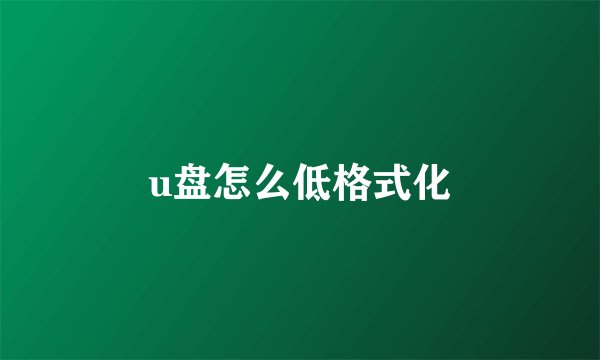 u盘怎么低格式化
