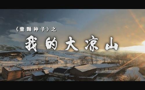 日本导演竹内亮导演表示要重新拍纪录片《大凉山》,他为什么会想要重拍?