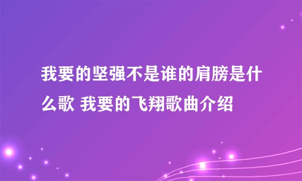我要的坚强不是谁的肩膀是什么歌 我要的飞翔歌曲介绍