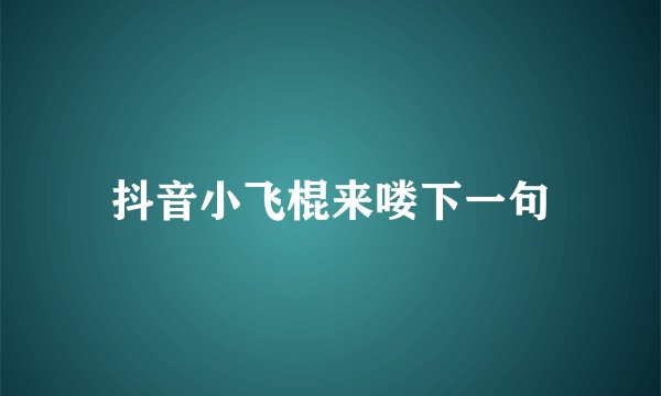 抖音小飞棍来喽下一句