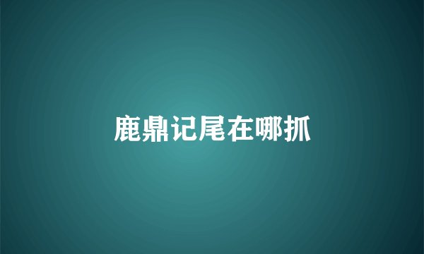 鹿鼎记尾在哪抓