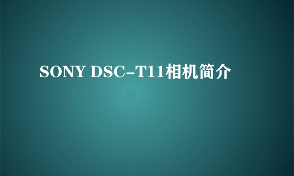 SONY DSC-T11相机简介