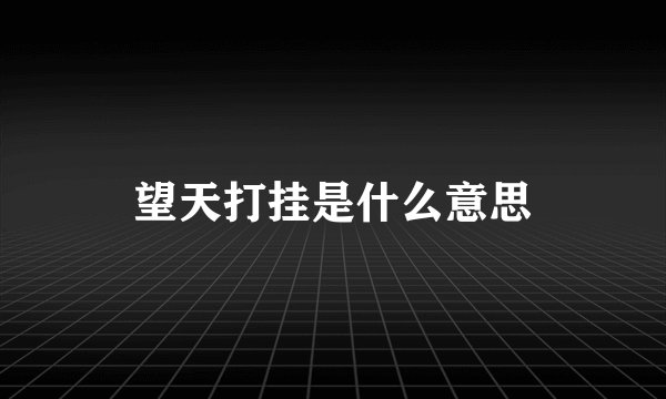 望天打挂是什么意思