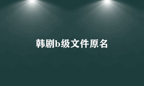 韩剧b级文件原名