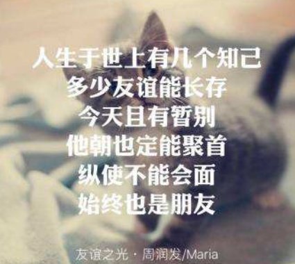 人生与世上有几个知己。什么歌名