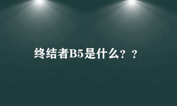 终结者B5是什么？？