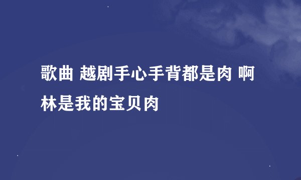 歌曲 越剧手心手背都是肉 啊林是我的宝贝肉