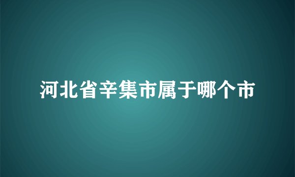 河北省辛集市属于哪个市