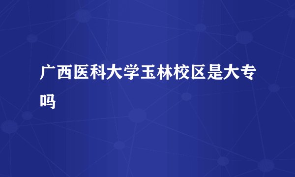 广西医科大学玉林校区是大专吗