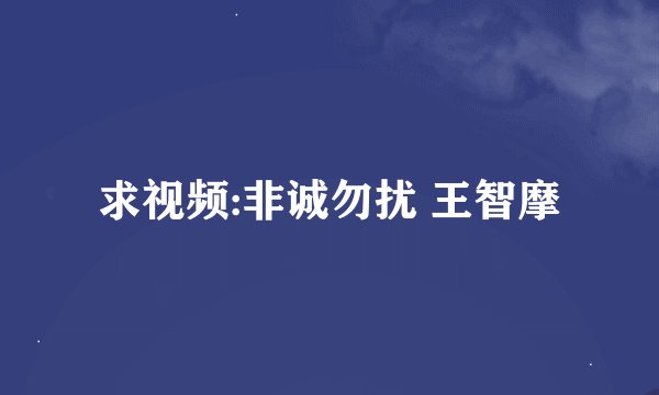 求视频:非诚勿扰 王智摩
