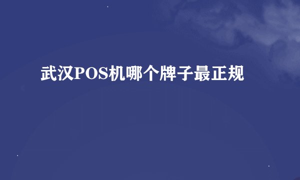 武汉POS机哪个牌子最正规