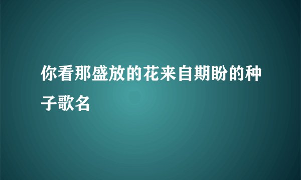 你看那盛放的花来自期盼的种子歌名