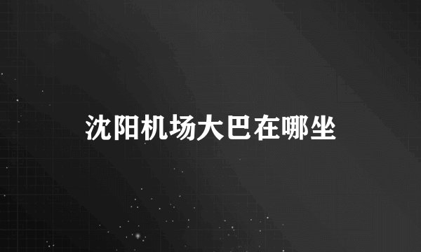 沈阳机场大巴在哪坐
