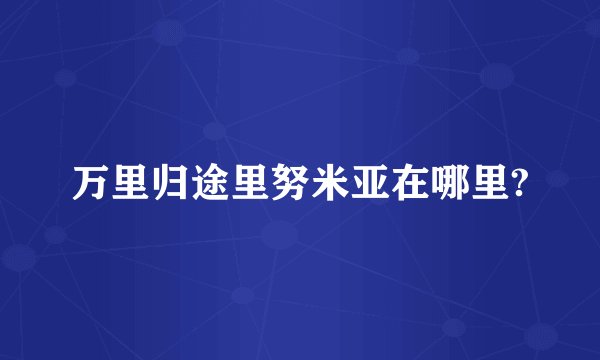 万里归途里努米亚在哪里?