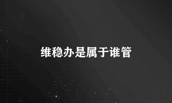 维稳办是属于谁管