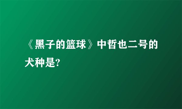 《黑子的篮球》中哲也二号的犬种是?