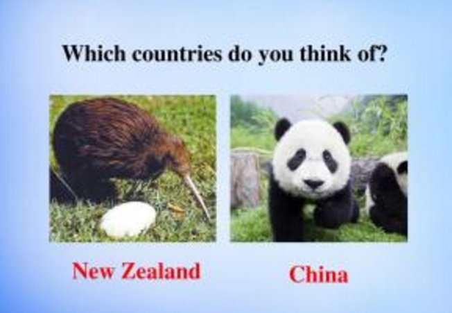 国家英文复数 country 的复数形式 ； 速度啊