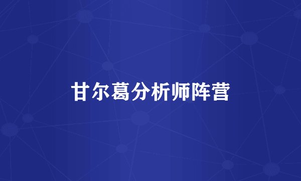 甘尔葛分析师阵营