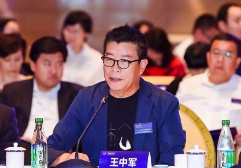 华谊兄弟实控人王忠军、王忠磊被罚，他们究竟是因何被罚的？