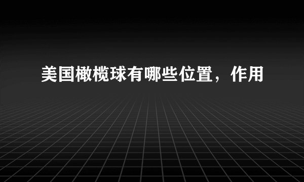 美国橄榄球有哪些位置，作用