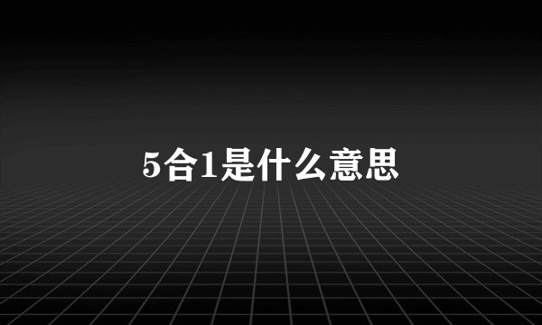 5合1是什么意思