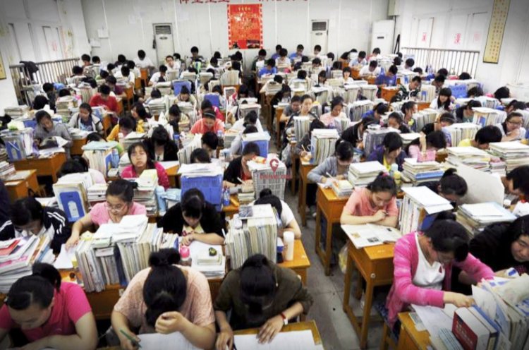 如何查询高考分数排名？